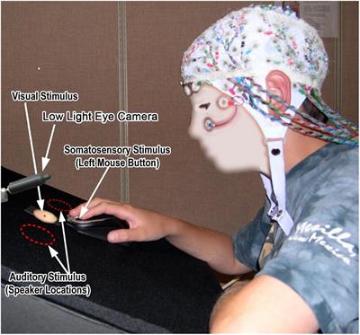 A Multidimensional Investigation of Sensory Processing in Autism: Parent- and Self-Report Questionnaires, Psychophysical Thresholds, and Event-Related Potentials in the Auditory and Somatosensory Modalities